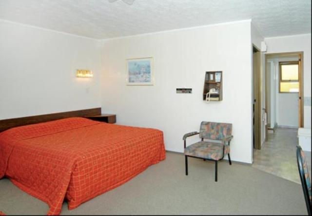 Ace High Motor Inn Napier Esterno foto